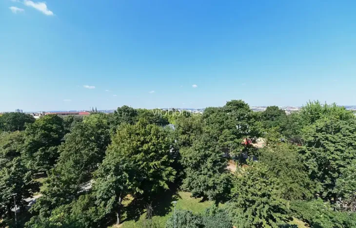 Pronájem bytu 6+kk a větší, Praha - Vinohrady, Chopinova, 204 m2