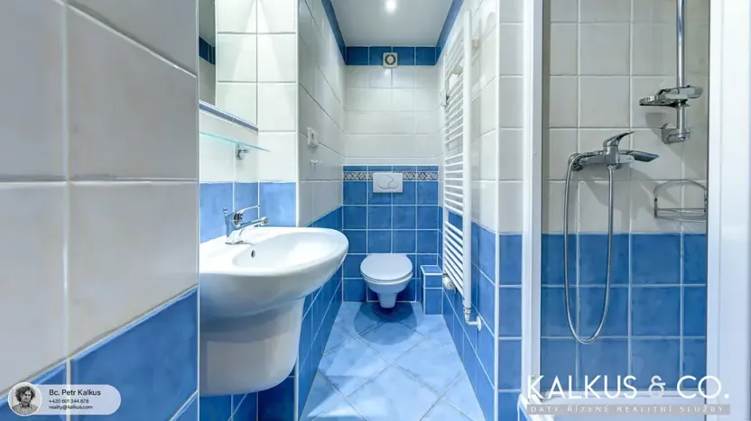 Pronájem bytu 1+kk, Hradec Králové, Smetanovo nábřeží, 27 m2