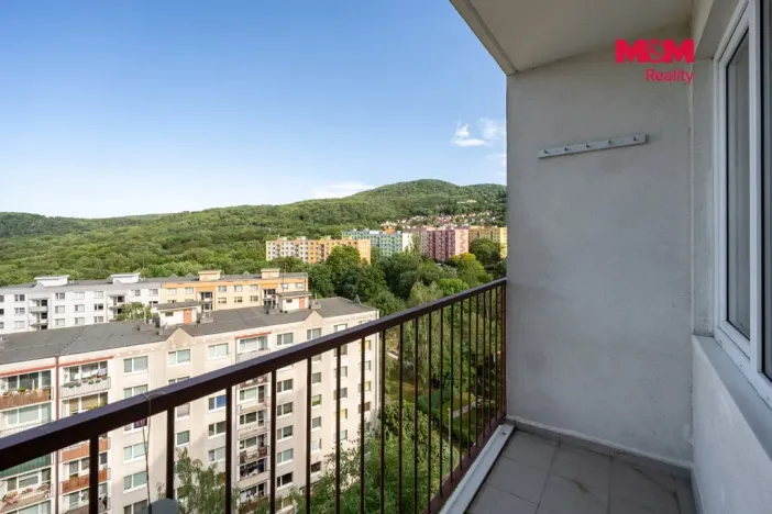 Prodej bytu 2+1, Ústí nad Labem - Střekov, Nová, 62 m2
