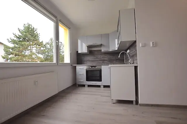 Pronájem bytu 1+1, Blatná, Na Bílé husi, 44 m2