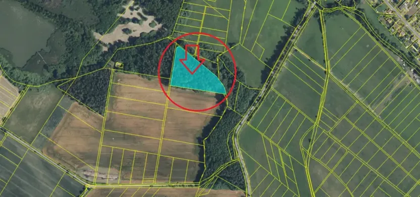 Prodej podílu lesa, Březina, 7250 m2