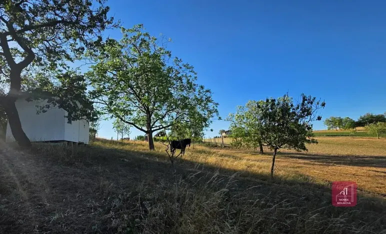 Prodej zahrady, Tvarožná, 1236 m2