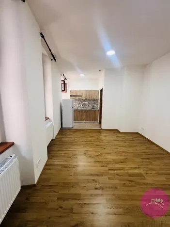 Pronájem bytu 1+kk, Olomouc, Uhelná, 30 m2