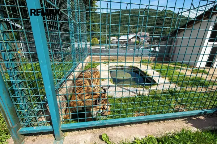 Prodej zemědělské usedlosti, Lipová-lázně, 871 m2