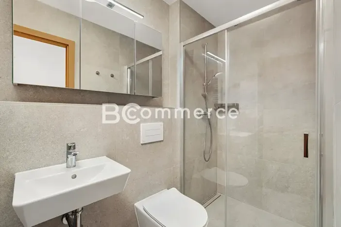 Pronájem bytu 1+kk, Brno, Dornych, 27 m2