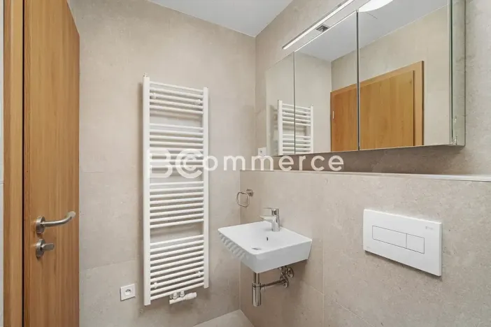 Pronájem bytu 1+kk, Brno, Dornych, 27 m2