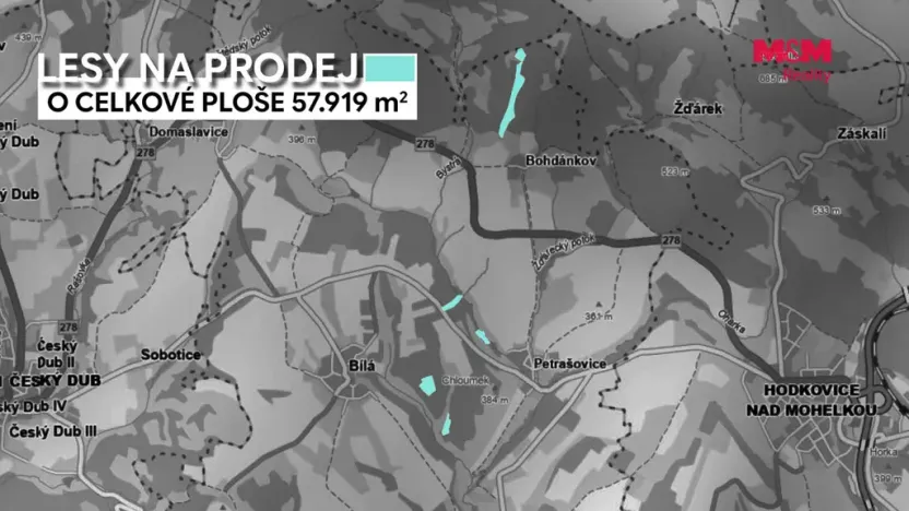 Prodej lesa, Bílá, 57919 m2