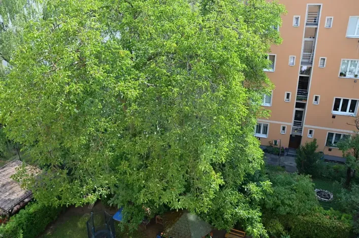 Pronájem bytu 1+kk, Praha, Pelhřimovská, 27 m2