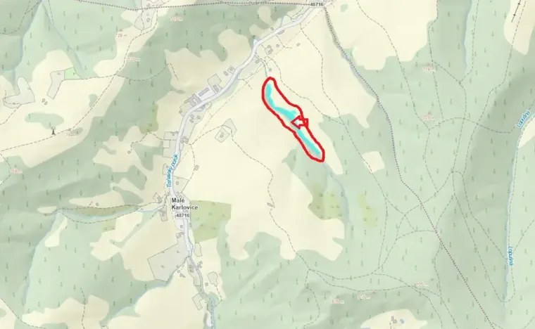 Prodej lesa, Velké Karlovice, 6375 m2