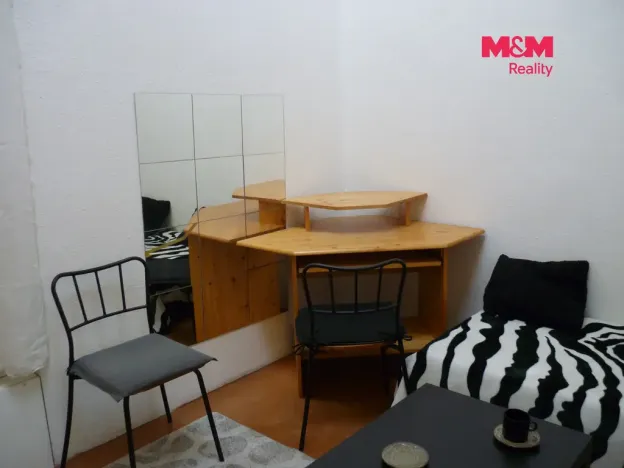 Pronájem bytu 1+kk, Praha - Vinohrady, Mánesova, 17 m2