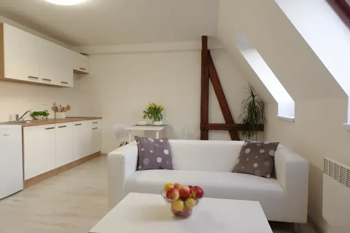 Pronájem bytu 1+kk, Olomouc, Na Vozovce, 33 m2