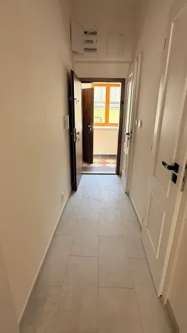 Pronájem bytu 1+kk, Praha - Žižkov, Seifertova, 25 m2