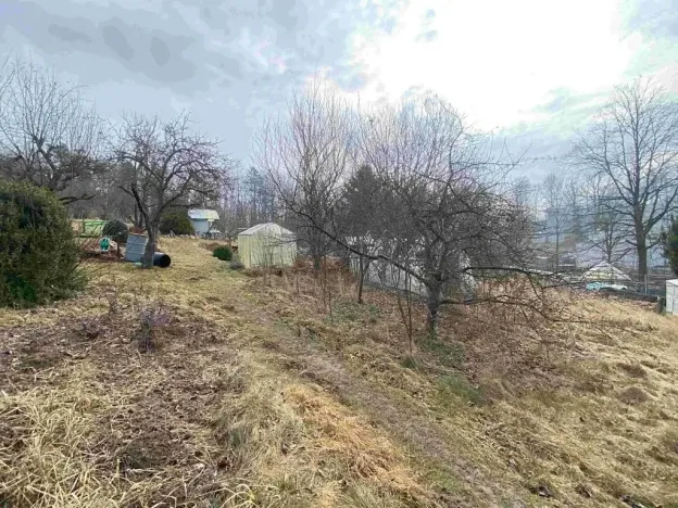 Dražba zahrady, Střížovice, 194 m2