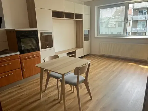 Pronájem bytu 1+kk, České Budějovice, Riegrova, 32 m2