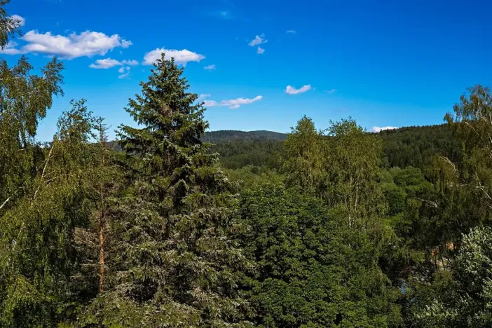 Prodej bytu 2+kk, Železná Ruda, 51 m2