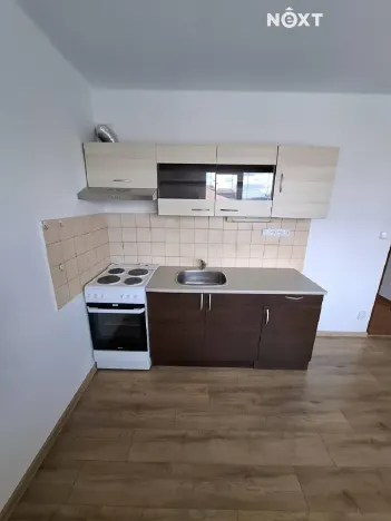 Prodej bytu 1+1, Borotín, 47 m2