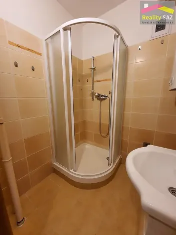 Pronájem bytu 1+1, Frýdlant nad Ostravicí, Palackého, 38 m2