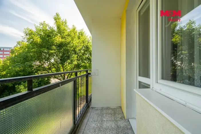Prodej bytu 1+1, Olomouc - Nová Ulice, I. P. Pavlova, 35 m2