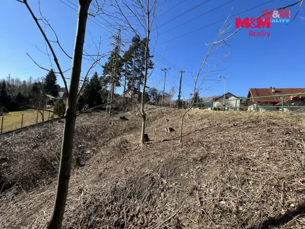 Prodej pozemku pro bydlení, Frýdlant nad Ostravicí, Ondřejnická, 651 m2
