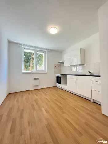 Pronájem bytu 2+kk, Mšené-lázně, Mládežnická, 40 m2