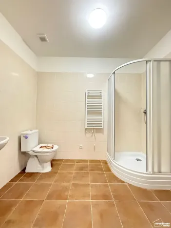 Pronájem bytu 2+kk, Mšené-lázně, Mládežnická, 40 m2
