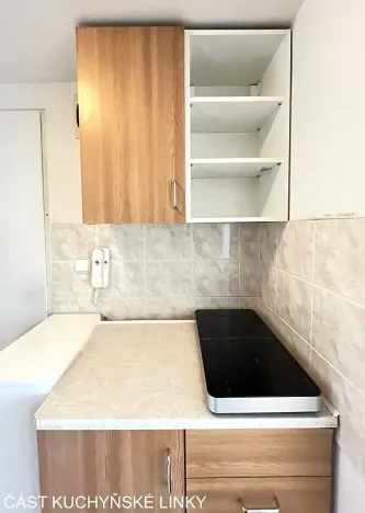 Pronájem bytu 1+kk, Brno, Mendlovo náměstí, 22 m2