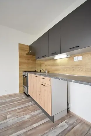 Pronájem bytu 1+1, Chomutov, Dřínovská, 35 m2