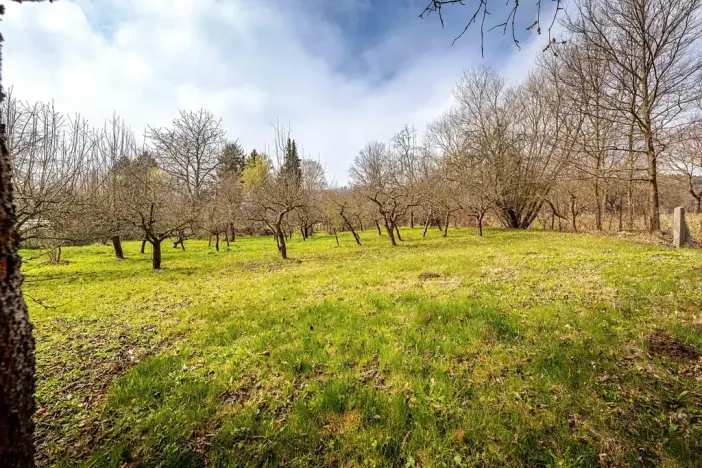 Prodej pozemku pro bydlení, Lhenice, 1219 m2