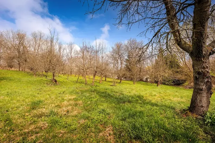 Prodej pozemku pro bydlení, Lhenice, 1219 m2