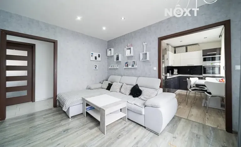 Prodej bytu 3+kk, Karviná, Borovského, 63 m2