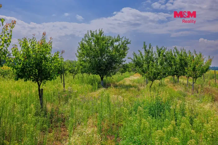 Prodej pole, Zaječí, 14490 m2