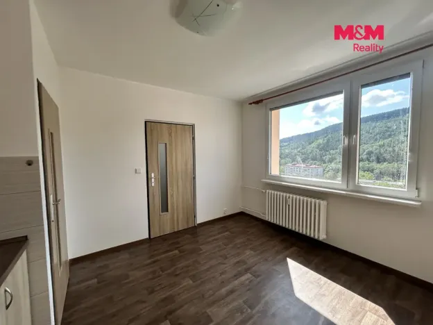 Pronájem bytu 1+1, Děčín, Nálepkova, 35 m2
