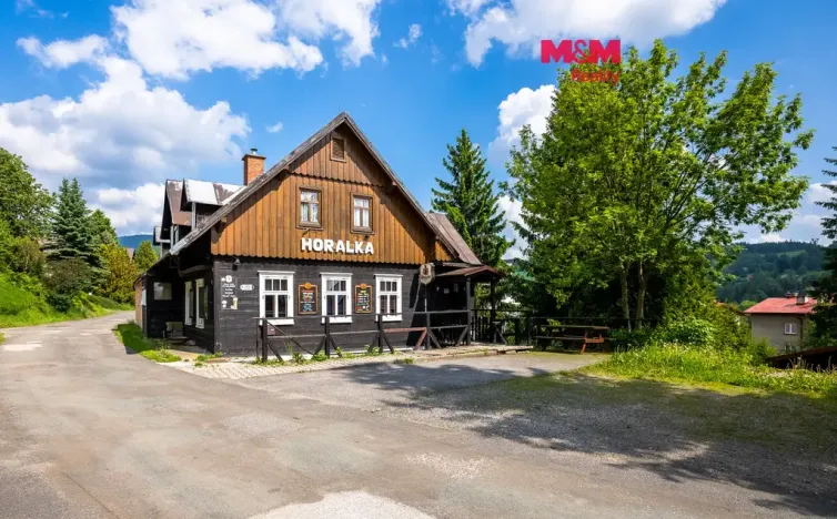 Prodej ubytování, Rokytnice nad Jizerou - Horní Rokytnice, 374 m2