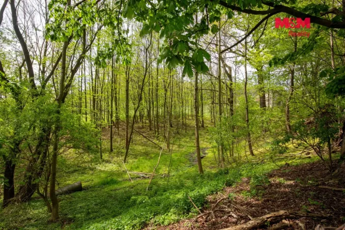 Prodej pozemku pro bydlení, Šenov, 6241 m2