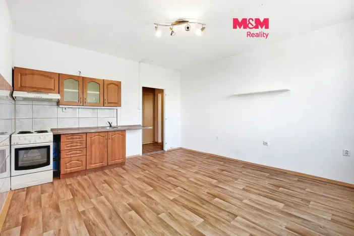 Prodej bytu 2+kk, Ústí nad Labem - Severní Terasa, Šrámkova, 40 m2