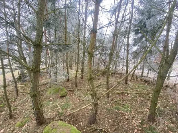 Dražba pole, Slatina, 13059 m2