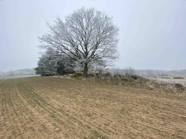 Dražba pole, Slatina, 13059 m2