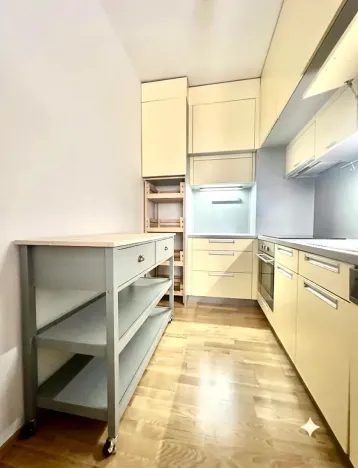 Pronájem bytu 2+kk, Praha - Žižkov, Jeseniova, 55 m2