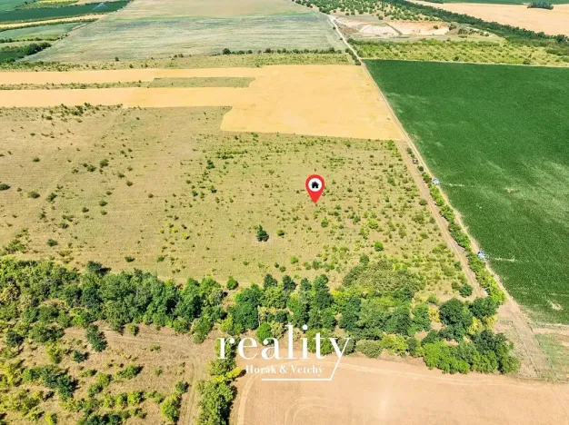 Prodej sadu/vinice, Křídlůvky, 22053 m2