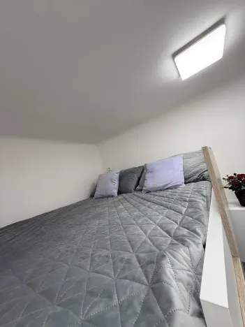Pronájem bytu 1+kk, Opava - Předměstí, Alšova, 15 m2