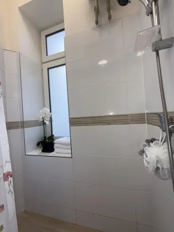 Pronájem bytu 1+kk, Opava - Předměstí, Alšova, 15 m2