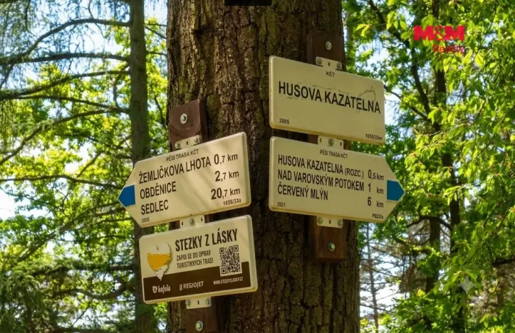 Prodej lesa, Petrovice - Žemličkova Lhota, 7042 m2