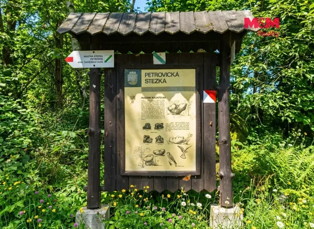 Prodej lesa, Petrovice - Žemličkova Lhota, 7042 m2