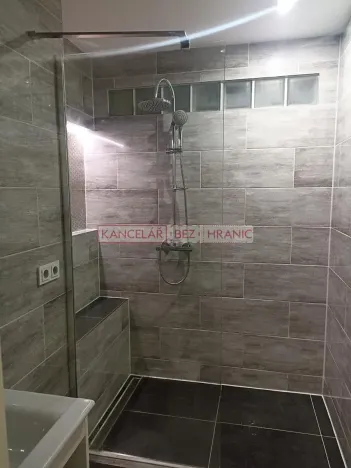 Pronájem bytu 1+1, Ostrava, U Haldy, 40 m2
