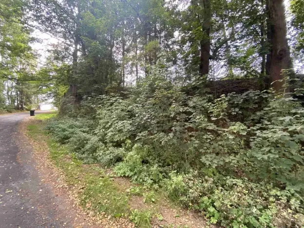 Prodej pozemku, Jindřichovice, 272 m2