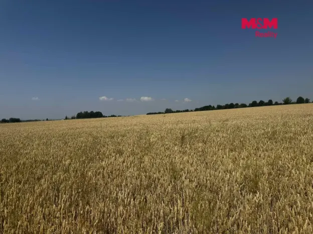 Prodej pole, Město Albrechtice, 244621 m2