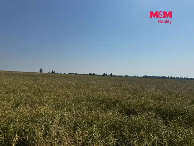 Prodej pole, Město Albrechtice, 244621 m2