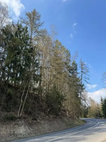 Prodej podílu lesa, Železný Brod, 11060 m2