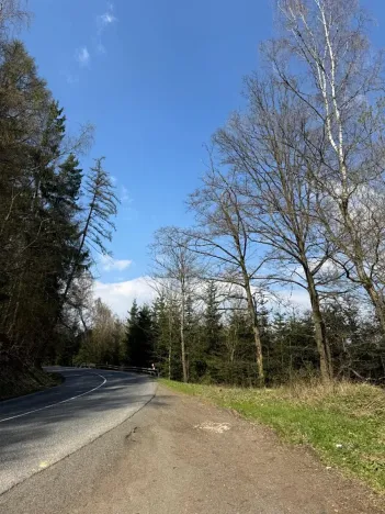 Prodej podílu lesa, Železný Brod, 11060 m2