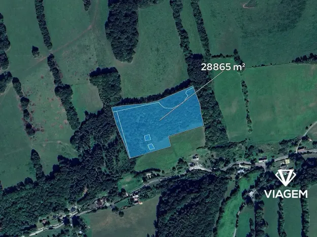Prodej podílu lesa, Skorošice, 5773 m2